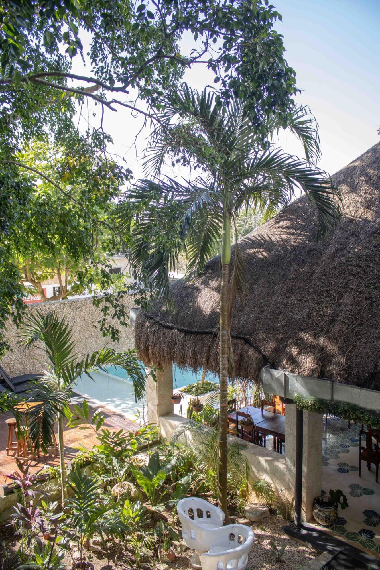 Hotel Nojoch Che Cobá Dış mekan fotoğraf