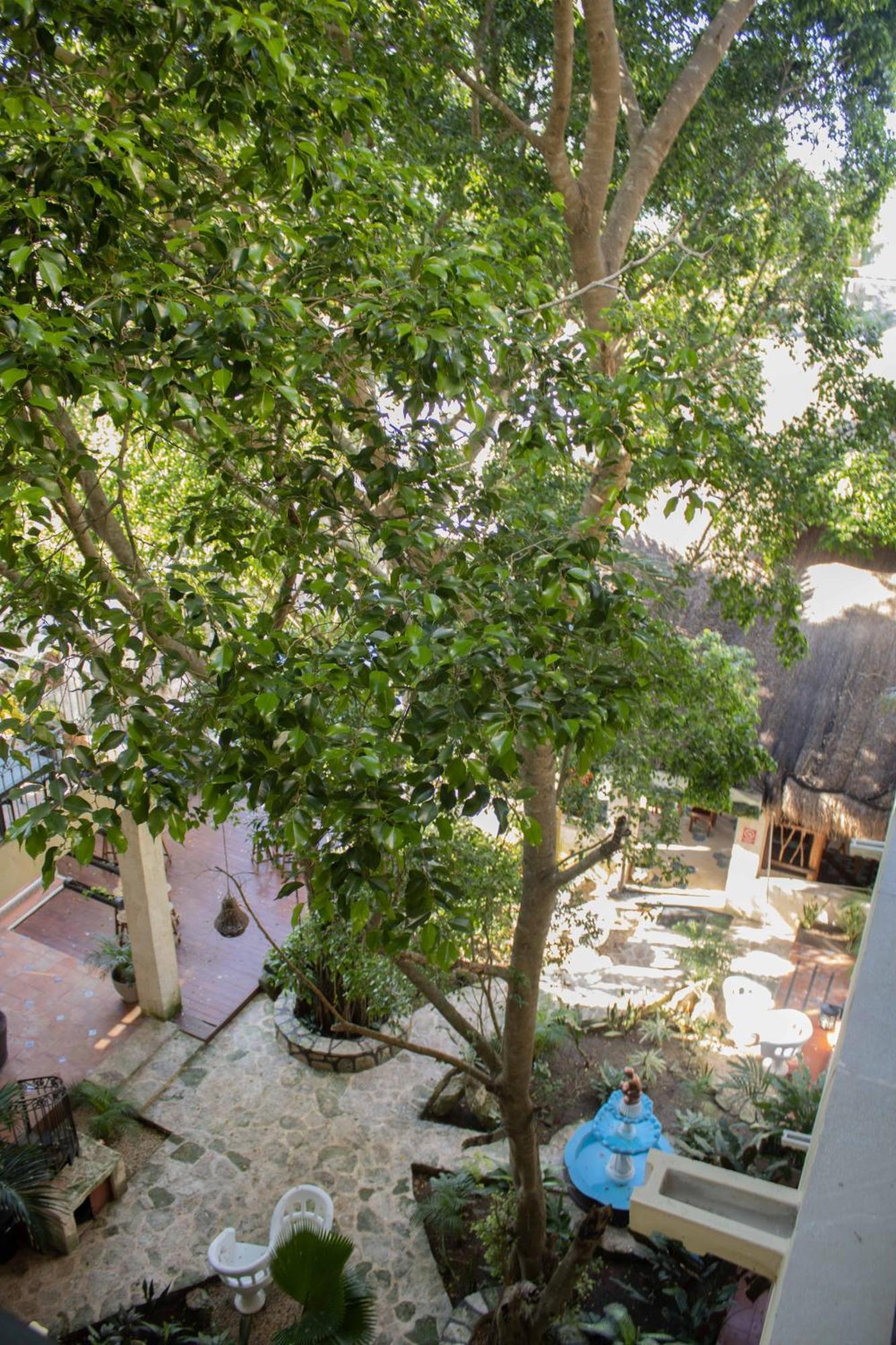 Hotel Nojoch Che Cobá Dış mekan fotoğraf